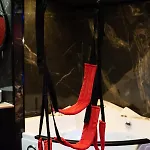 Capsule Secret - Jacuzzi - Netflix & Cinema - Jeux De Couple - Barre De Pole Dance Apart-hotel