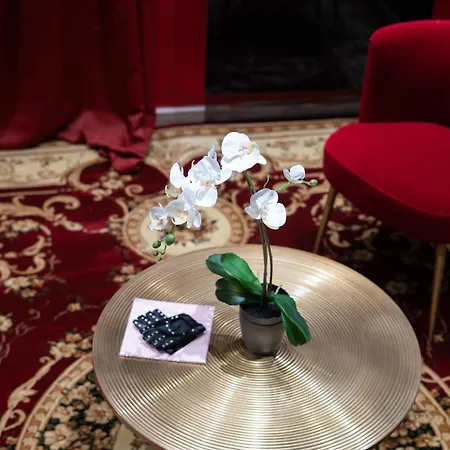 Capsule Secret - Jacuzzi - Netflix & Cinema - Jeux De Couple - Barre De Pole Dance 公寓式酒店 3*